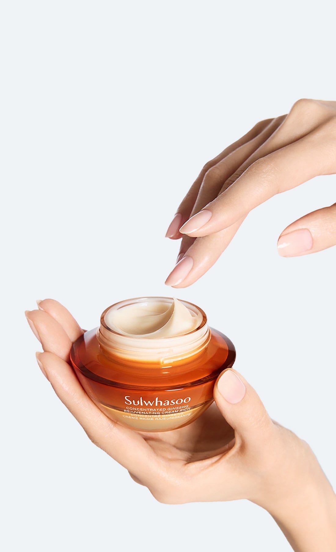 Sulwhasoo Concentrated Ginseng Renewing Cream Rich 30ml - Berry Purple